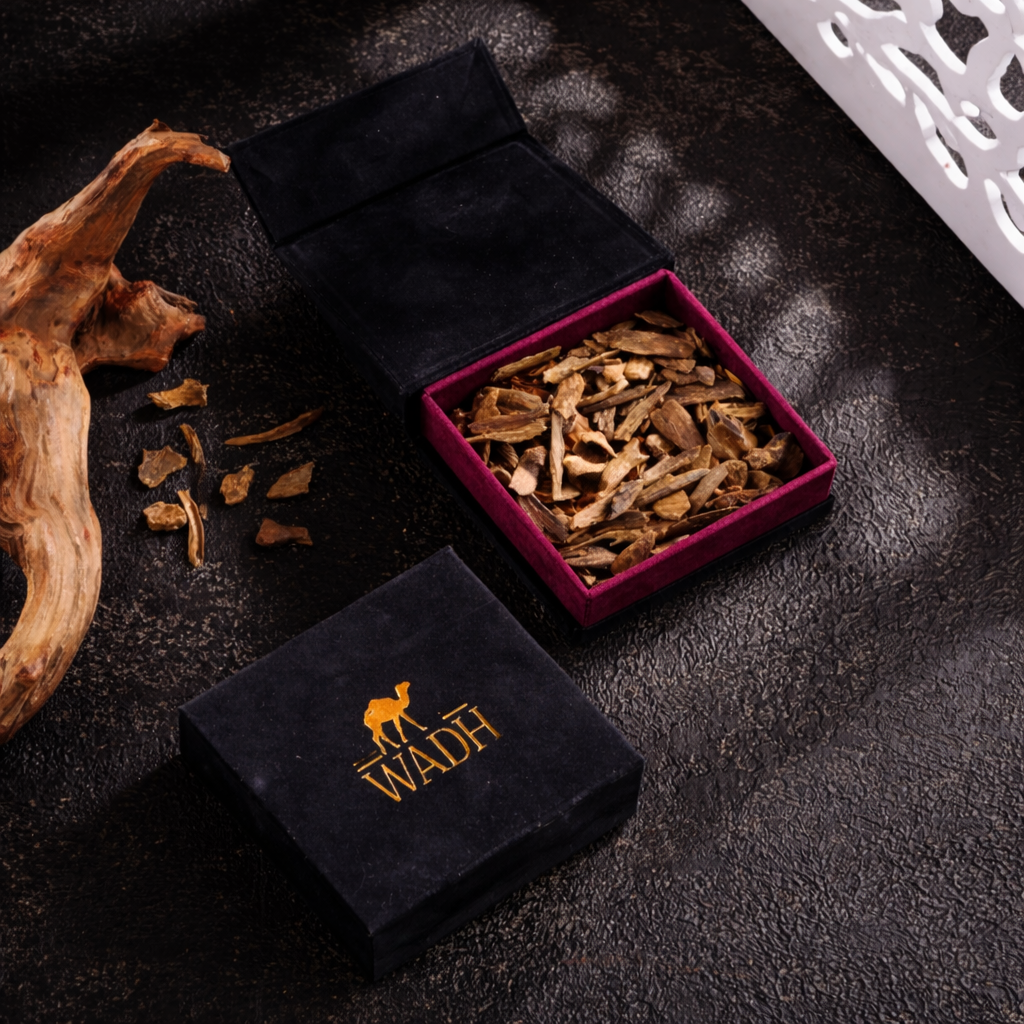 Oud Digga – Malaysian Kalimantan (3× Triple Super | Batch 2015)